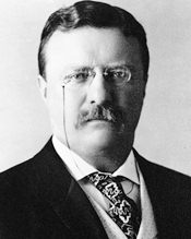 picture of President Theodore Roosevelt